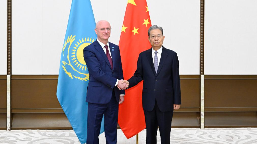 Zhao Leji, chairman of the National People's Congress (NPC) Standing Committee, meets with Kazakhstan's First Deputy Prime Minister Roman Sklyar, who is in China for the Boao Forum for Asia (BFA) Annual Conference 2026, in Boao, Hainan Province, China, March 25, 2026. /Xinhua